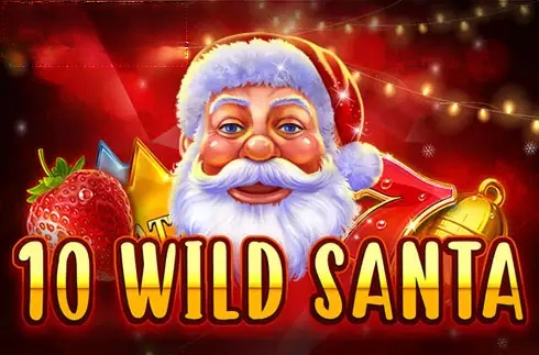 10 Wild Santa