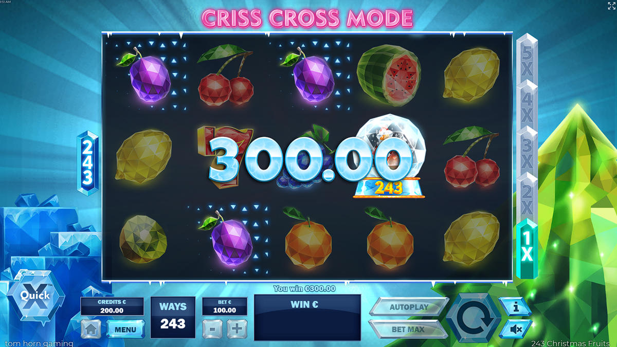 243 Christmas Fruits screenshot
