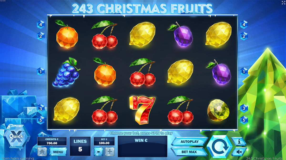 243 Christmas Fruits screenshot