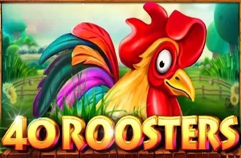 40 Roosters