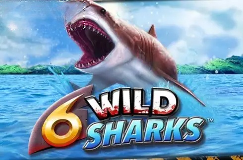 6 Wild Sharks