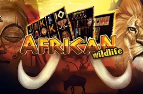 African Wildlife
