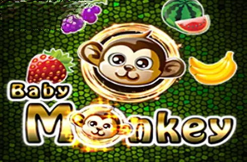 Baby Monkey