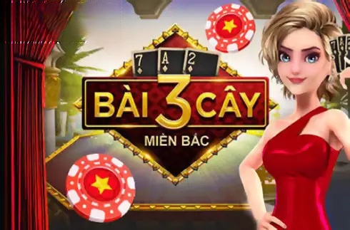 Bai 3 Cay Mien Bac