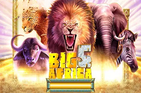 Big 5 Africa