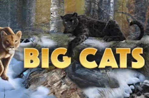 Big Cats
