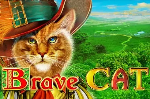 Brave Cat