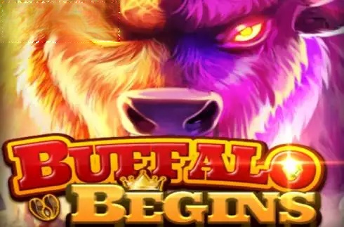 Buffalo Begins
