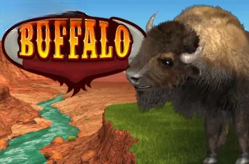 Buffalo Bingo