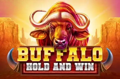 Buffalo Hold and Win