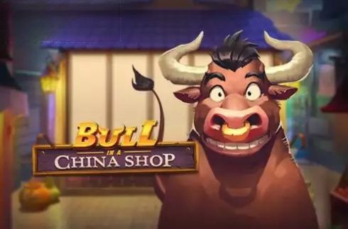 Bull in a China Shop