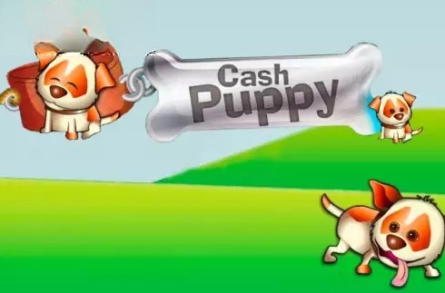 Cash Puppy