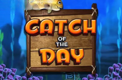 Catch Of The Day