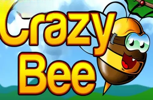 Crazy Bee