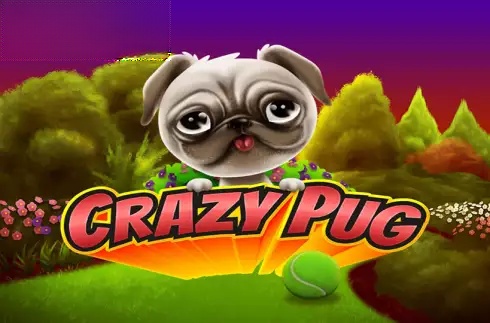 Crazy Pug