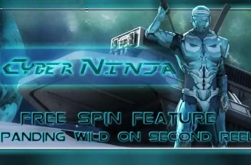 Cyber Ninja