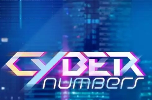 Cyber Numbers