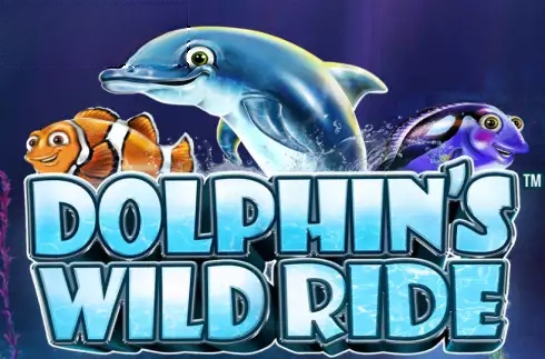Dolphin's Wild Ride