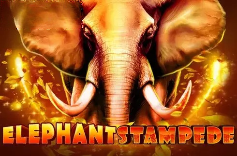 Elephant Stampede