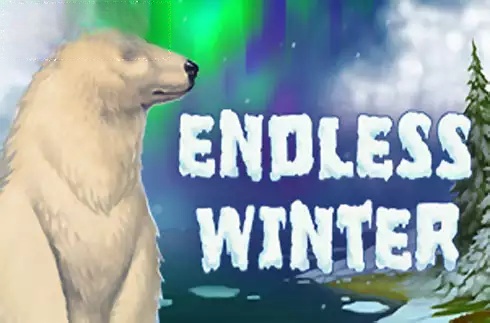 Endless Winter