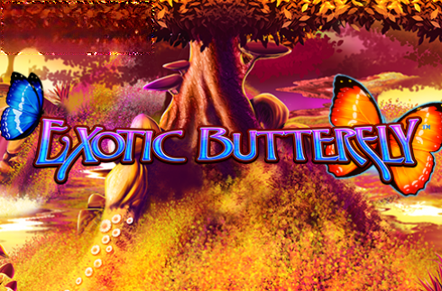Exotic Butterfly