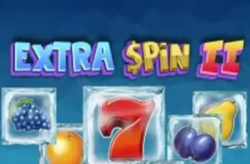 Extra Spin 2