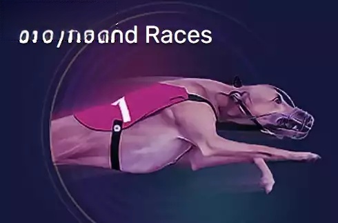 Greyhound Races