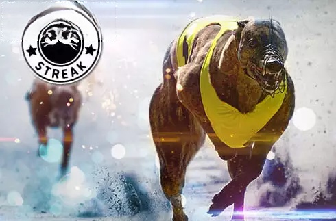Greyhounds Streak