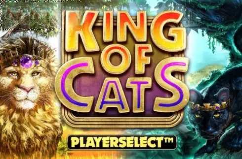 King of Cats