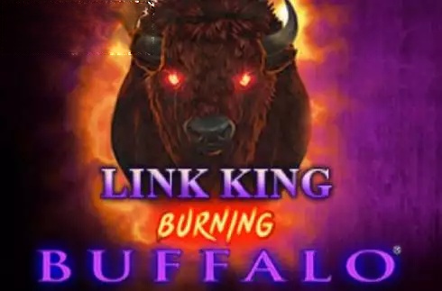 Link King Burning Buffalo