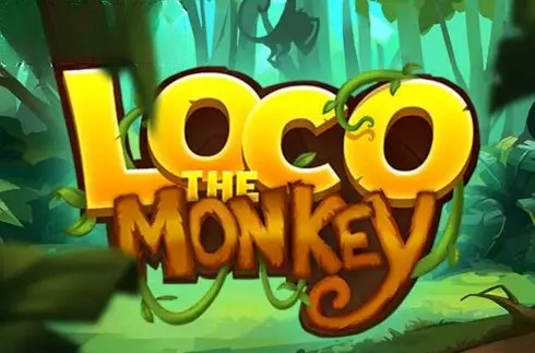 Loco the Monkey