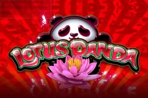 Lotus Panda