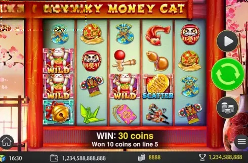Lucky Money Cat