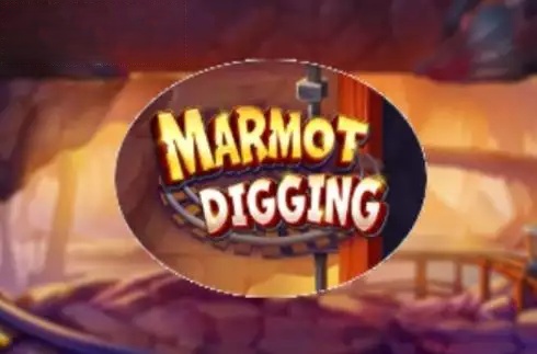 Marmot Digging