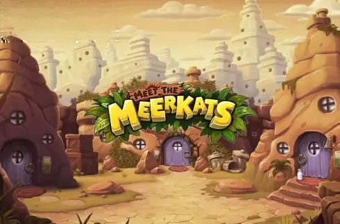 Meet the Meerkats
