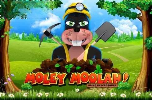 Moley Moolah