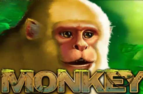 Monkey (PlayStar)