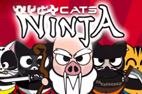 Ninja Cats