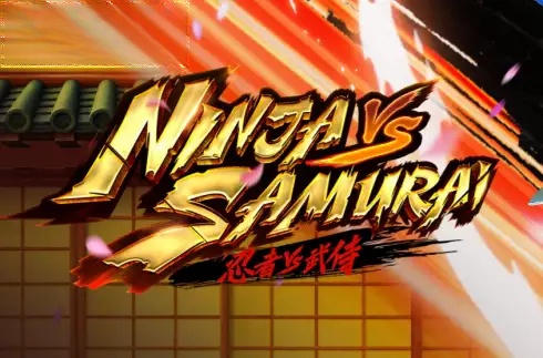 Ninja vs Samurai