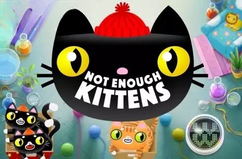 Not Enough Kittens