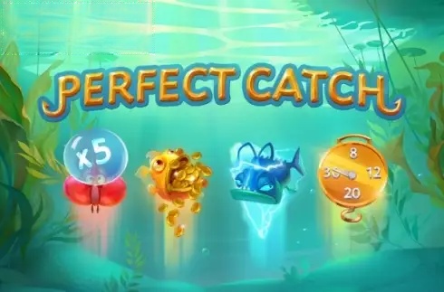 Perfect Catch