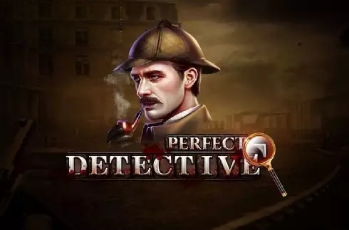 Perfect Detective