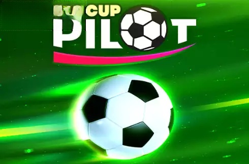 Pilot Cup