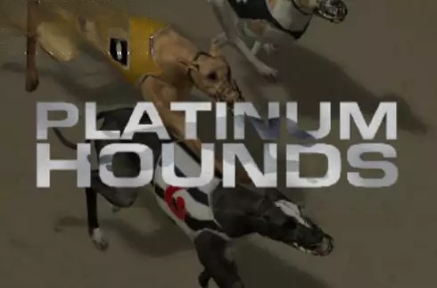 Platinum Hounds