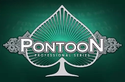 Pontoon Professional Series High Limit
