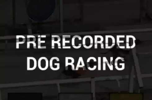Pre-recorded Dog Racing