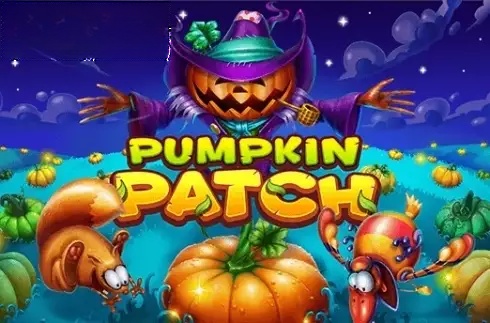 Pumpkin Patch
