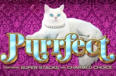 Purrfect