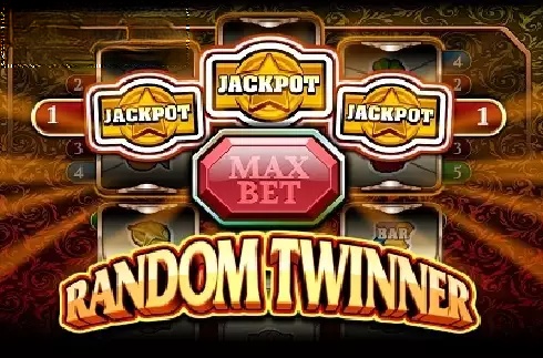 Random Twinner