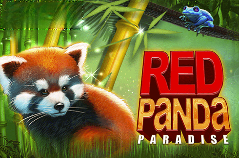 Red panda paradise